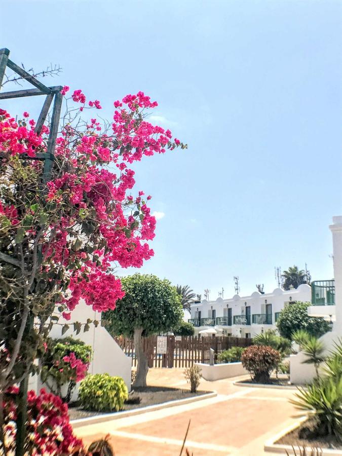 شقة Armonia Pool View & Wi-Fi By Irent Fuerteventura كوراليهو المظهر الخارجي الصورة